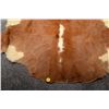 Image 2 : Calf/Cow Hide