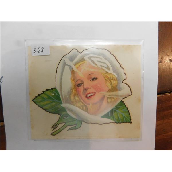 WHITE ROSE, VINTAGE WINDSHIELD DECAL, INTACT
