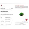 Image 3 : 7.39 ct Certified Colombian Emerald gemstone ($14,780 Appraisal)