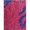 Image 4 : Persian Wool Rug, Shiraz SC3 - C