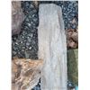Image 13 : Fossilized Wood & Rocks