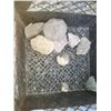 Image 14 : Fossilized Wood & Rocks