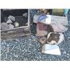 Image 1 : Fossilized Wood & Rocks