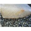 Image 3 : Fossilized Wood & Rocks