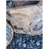 Image 5 : Fossilized Wood & Rocks