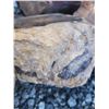 Image 6 : Fossilized Wood & Rocks