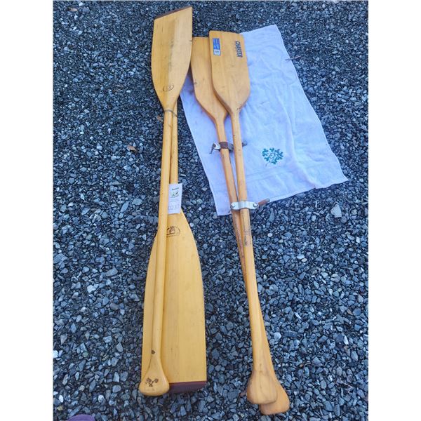 Oars - O Cat B