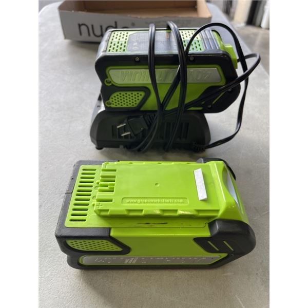 2 LITHIUM BATTERIES AND CHARGER