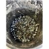 Image 2 : BUCKET OF BOLTS