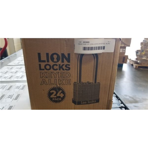NEW CASE OF LION LOCKS 24 KEYED  ALIKE