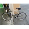 Image 1 : GREY BACKWOODS BIKE
