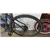 Image 4 : BLUE CCM BIKE