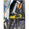 Image 2 : BODY GLOVE PERFORMER PADDLE BOARD WITH ACCESSORIES IN CARRY BAG