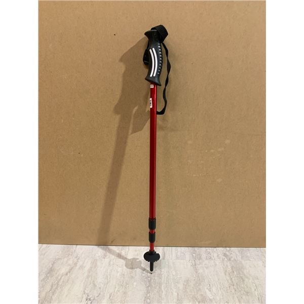 Walking Stick Colapsible
