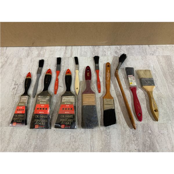 12 Paint Brushes Multi Use And Oil Paint
