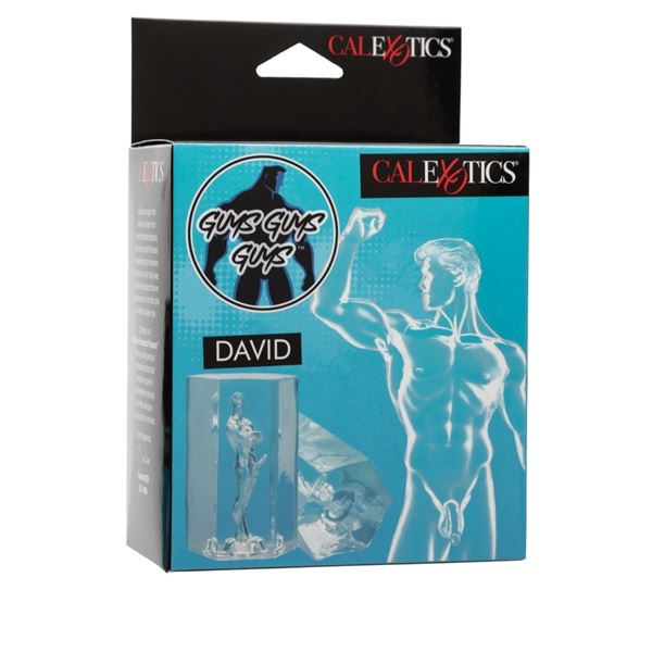 Guys Guys Guys - David manual masturbator, inspired by Michelangelo's statue, length 9.5 cm, transpa