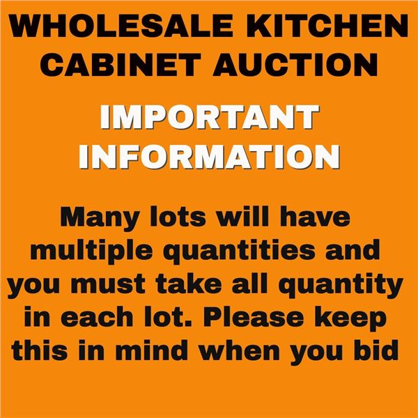 PLEASE READ THIS INFORMATION BEFORE BIDDING