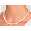 Image 1 : SILVER FRESH WATER PEARL NECKLACE 16"