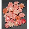 Image 1 : POLY CORAL FLOWER (APP 10ct) GEMSTONE