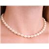 Image 1 : Silver Fresh Water Pearl Necklace 16"