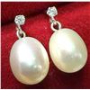 Image 4 : 10k (1.08g), F.W. Pearl & Lab Diamond (0.05ct) Earrings