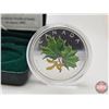 Image 2 : RCM Canada 2002 Silver Maple Leaf Coloured Coin (COA #08748) (99.99%) (GST Exempt)