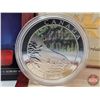 Image 2 : RCM Canada 2004 Natural Wonders : Northern Lights : Aurora Borealis : $20 Silver Coin (COA #16231) (