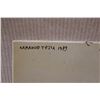 Image 9 : Ritratto di ignoto Artwork by Artist Armando Testa 14" x 14",  Unframed