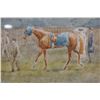 Image 3 : Pretty Polly Epsom 1905 Equestrian Racehorse Artwork 19" x 14", Framed & Matted