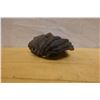 Image 6 : Carved Wooden Mask Wall Hanging 7" x 8.5"