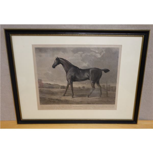 Horse Artwork Titled Haphazard w/ Bio 32" x 24", Framed & Matted