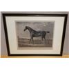 Image 1 : Horse Artwork Titled Haphazard w/ Bio 32" x 24", Framed & Matted