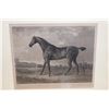 Image 2 : Horse Artwork Titled Haphazard w/ Bio 32" x 24", Framed & Matted