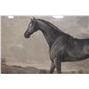 Image 3 : Horse Artwork Titled Haphazard w/ Bio 32" x 24", Framed & Matted