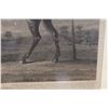 Image 4 : Horse Artwork Titled Haphazard w/ Bio 32" x 24", Framed & Matted