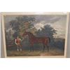 Image 2 : Man & Horse Artwork Titled Orville w/ Bio 36" x 31", Framed & Matted