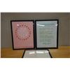 Image 2 : Qty 3 Framed Artworks 14" x 17":  Gertrude Stein USA MCMSS, Lautgedicht & Grasshopper