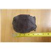Image 8 : Bust of a Man Sculpture on Base Marked SW 82,  4" x 6" x 11"H