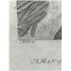 Image 3 : Man of the Sandwich Islands with Helmet 1785 Engraving Folio Edition 17" x 13", Framed & Matted