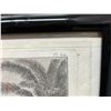 Image 3 : An Offering for Captain Cook Sandwich Islands  1785 Engraving Folio Edition 19" x 12.5", Framed & M