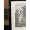 Image 4 : An Offering for Captain Cook Sandwich Islands  1785 Engraving Folio Edition 19" x 12.5", Framed & M