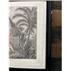 Image 5 : An Offering for Captain Cook Sandwich Islands  1785 Engraving Folio Edition 19" x 12.5", Framed & M