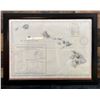 Image 1 : Map of All the Hawaiian Islands 1896 w/ Import/Export Table 26" x 20", Framed