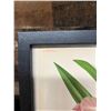 Image 4 : Orchid Chromolithograph 1885-87 Odontoglossum Crispum 15" x 12", Framed
