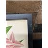 Image 5 : Orchid Chromolithograph 1885-87 Odontoglossum Crispum 15" x 12", Framed