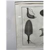 Image 5 : Various Works of the Sandwich Islands 1785 Engraving Folio Edition 21" x 17", Framed & Matted