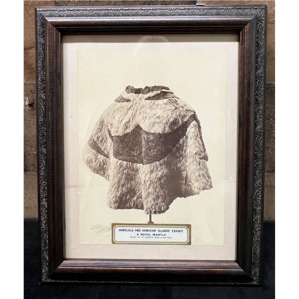 Vintage Photographic Image of Royal Feather Mantle (Cape) by Frank Davey 9.5" x 7.75" Framed