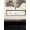 Image 2 : Vintage Photographic Image of Royal Feather Mantle (Cape) by Frank Davey 9.5" x 7.75" Framed