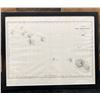 Image 1 : Map of Tahiti 1835 Steel Engraved, Paris 15" x 12", Framed