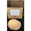 Image 5 : Large Shell & Sea Shell 1934/80 Hand Colored Engraving 12" x 9.5",  Framed